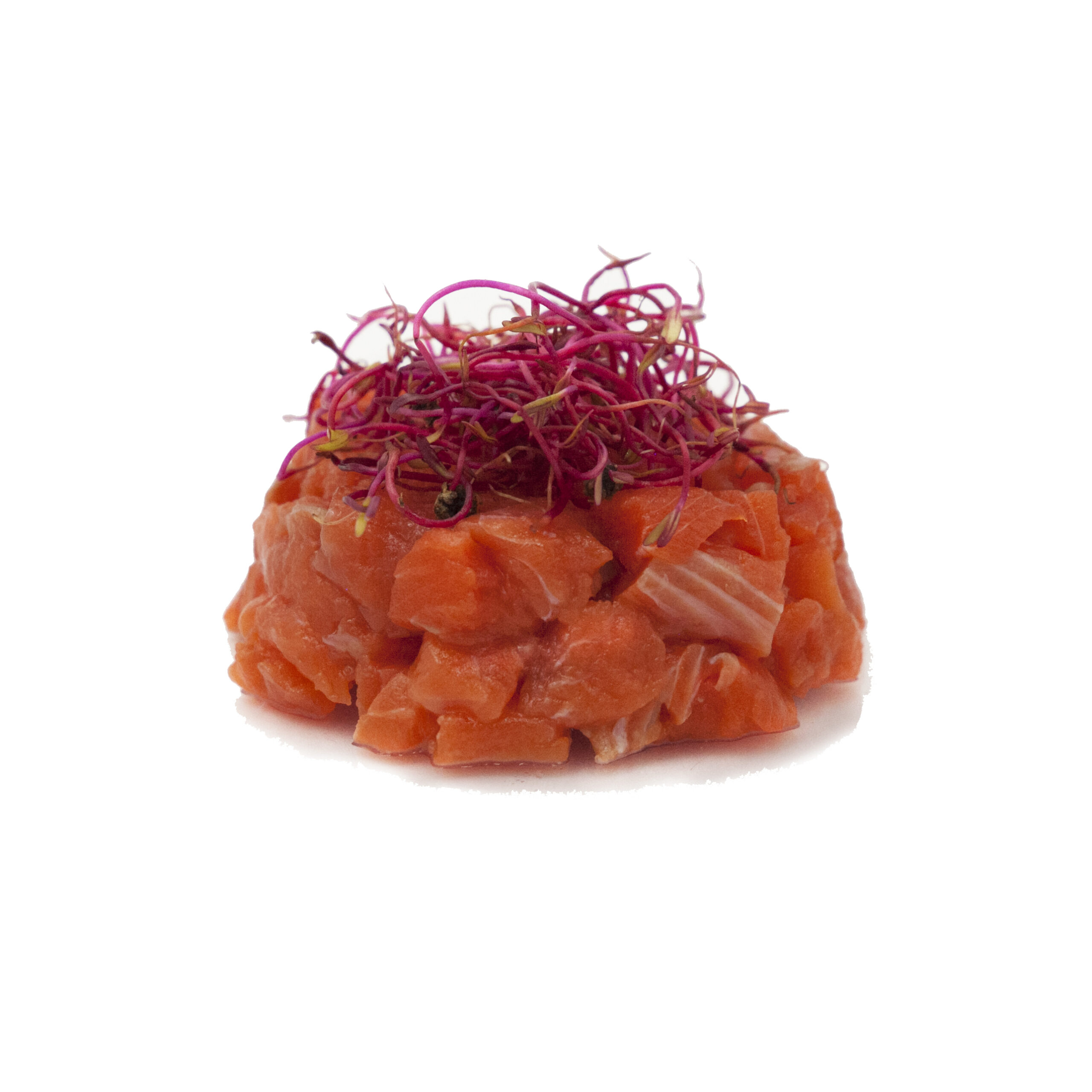 TartareSalmoneSelavggio