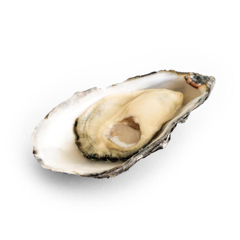 boutique-huitre-speciale-kys-marine