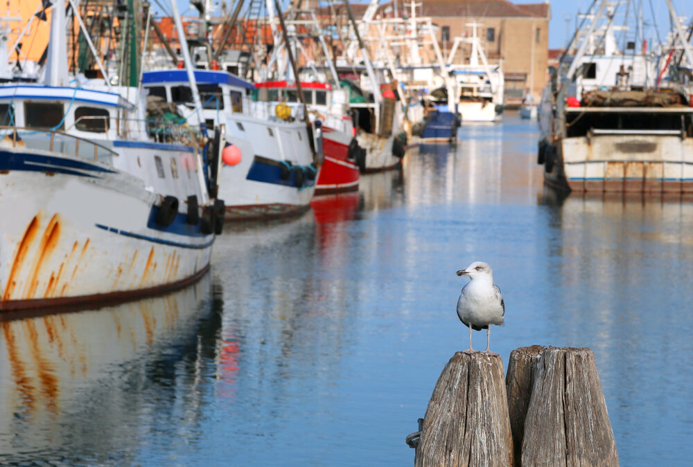 Il fermo pesca: cos’è e perché è importante
