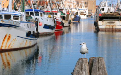 Il fermo pesca: cos’è e perché è importante
